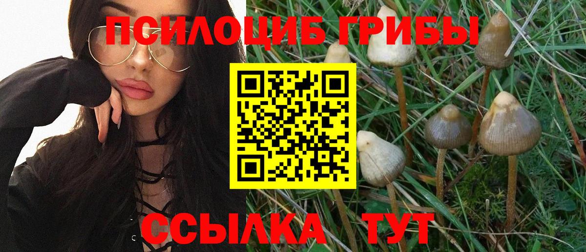 Нурлат  Галлюциногенные грибы Psilocybe  Вход с VPN 
